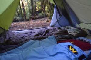 Sleeping bags and tent