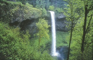 Beautiful shot of Silver Falls in Oregon on a lovely spring day