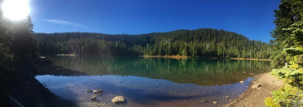 A serene natural landscape with a flowing river and dense forest, inviting visitors to disconnect from the urban world and connect with nature.