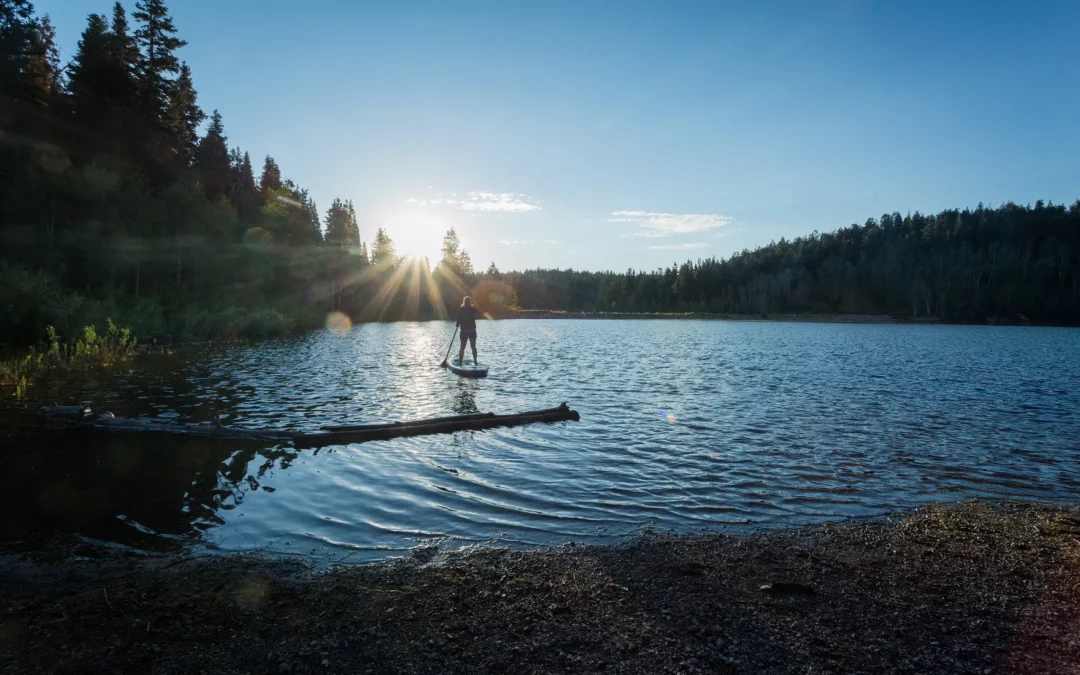 Psilocybin Assisted Therapy, Personal Use, and Evolve Wild Journeys: What’s the Difference?